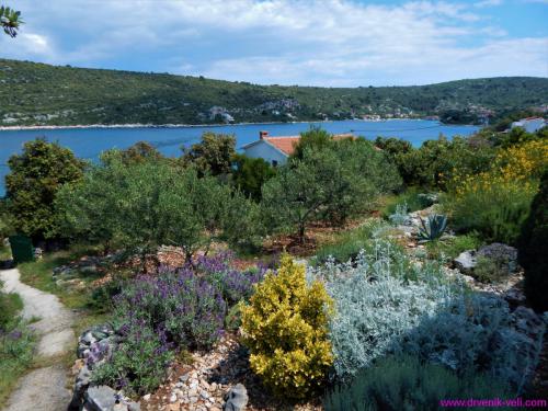 Villa Marela-Drvenik Veli