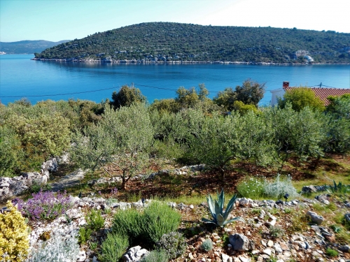 Villa Marela-Drvenik Veli