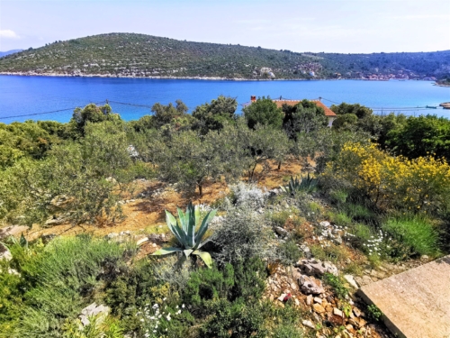 Villa Marela-Drvenik Veli